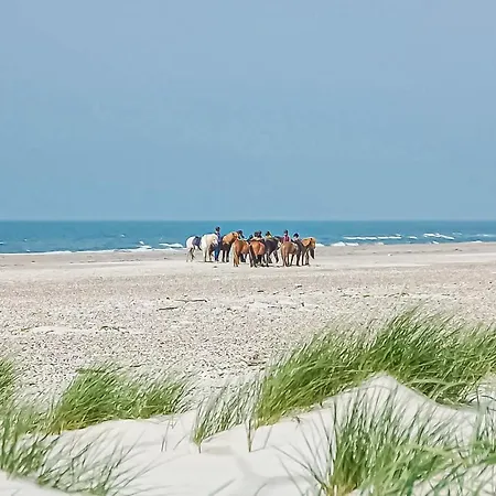 Vakantiehuis Sondertoften Blavand I Blåvand