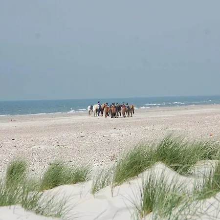 Casa vacanze Sondertoften Blavand I Ho